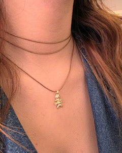 CADENA PEZ