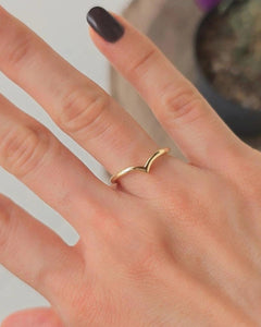 ANILLO VUELO