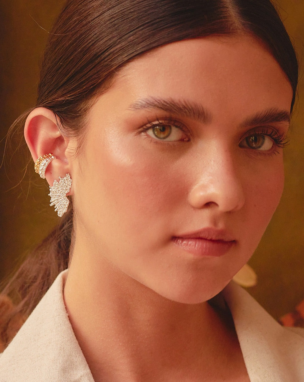 ARETES ALAS PLATEADAS